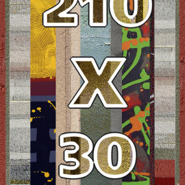 210×30
